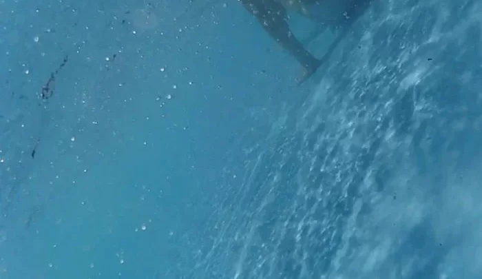 個人撮影　水中水着食い込みパラダイス　Ⅲ